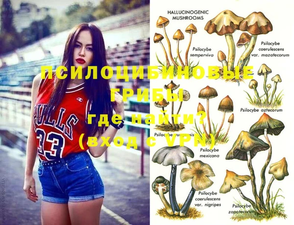 а пвп мука Новозыбков