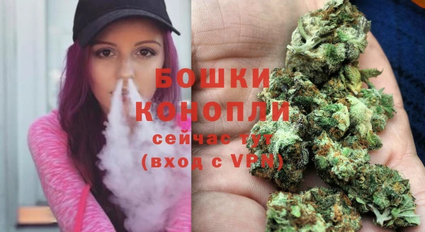 соль курить ск Новодвинск